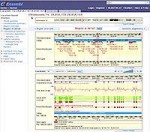 Screengrab from the Ensembl genome browser
