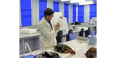 Learning through labs and practical work