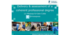 Delivery and assessment of a coherent professional degree