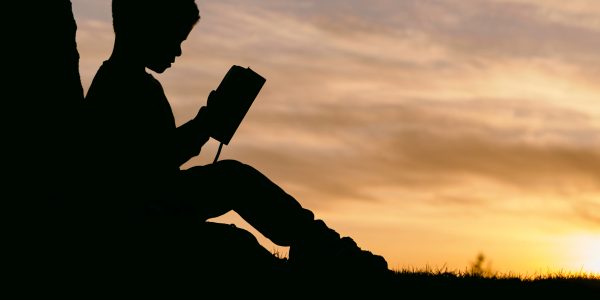 A figure of a young person sitting on the grass reading to themselves. The sun is setting in the background.