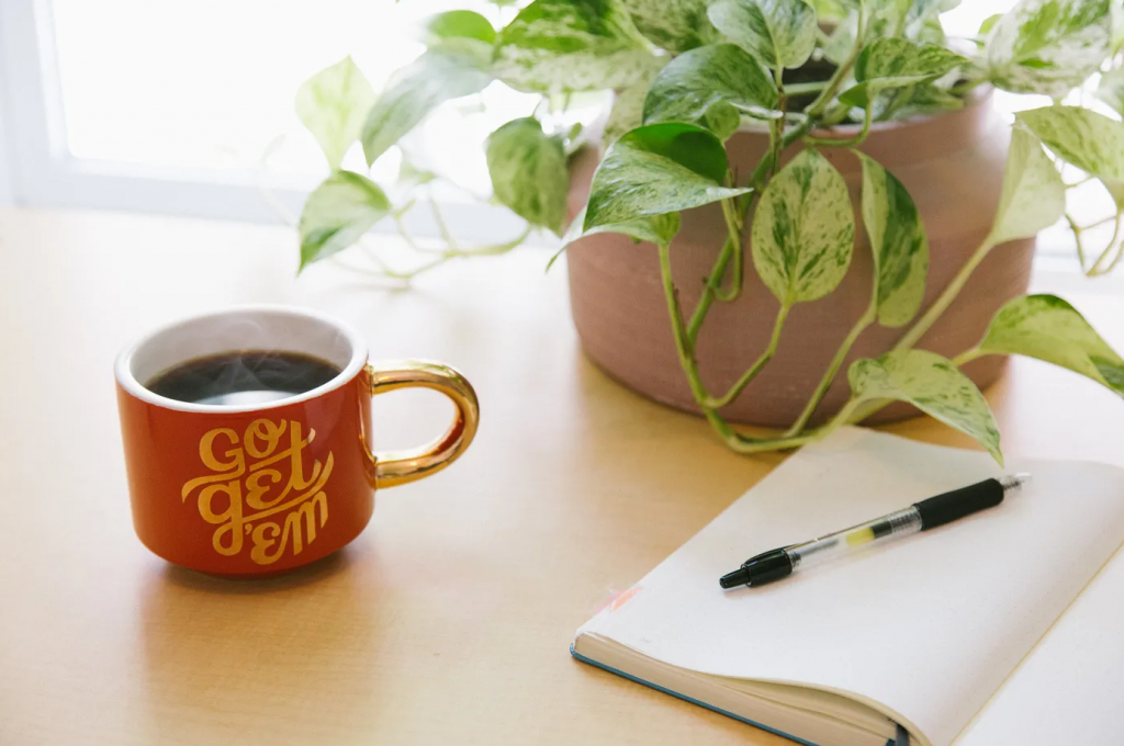 A notebook, pen, plant, and red mug with the words 'Go Get 'Em' written on it are laid across a table